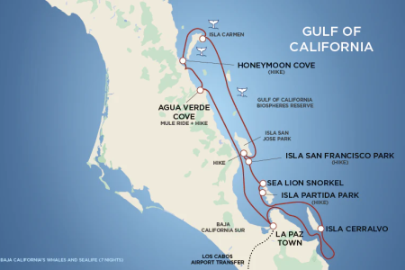Baja_California_s_Whales_and_Sealife_Map.webp