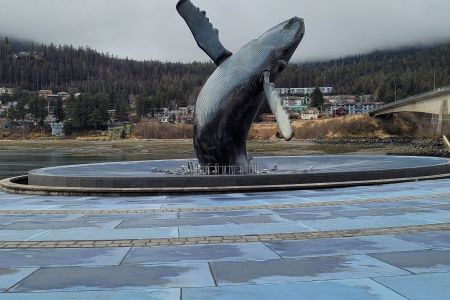 Tahku, the Juneau whale