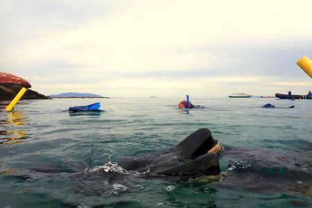 day-01-snorkeling-class-01.jpg