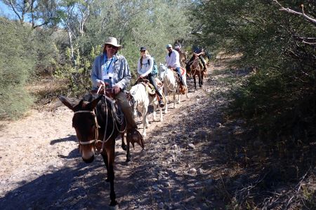 day-02-burros-01.jpg