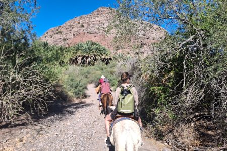 day-02-burros-09.jpg