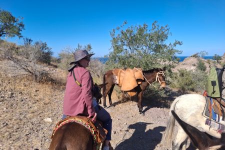 day-02-burros-10.jpg