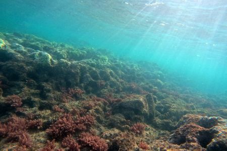 day-03-snorkel-10.jpg