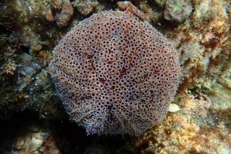 day-06-snorkeling-04.jpg