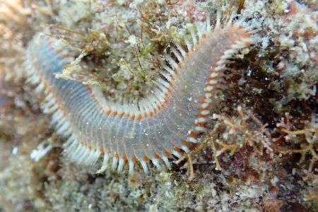 day-06-snorkeling-05.jpg