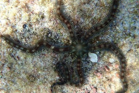 day-06-snorkeling-08.jpg