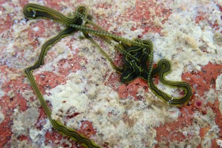 day-06-snorkeling-09.jpg
