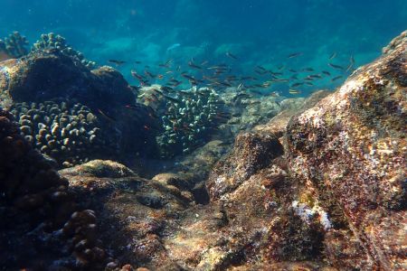 day-06-snorkeling-11.jpg