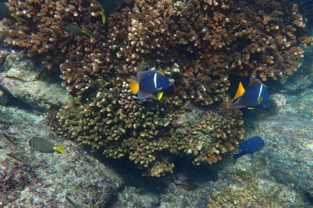 day-06-snorkeling-13.jpg