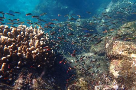 day-06-snorkeling-15.jpg