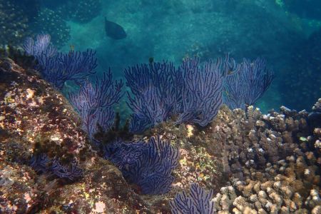 day-06-snorkeling-16.jpg